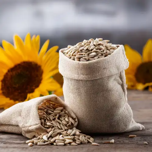 Graines de tournesol décortiquées BIO